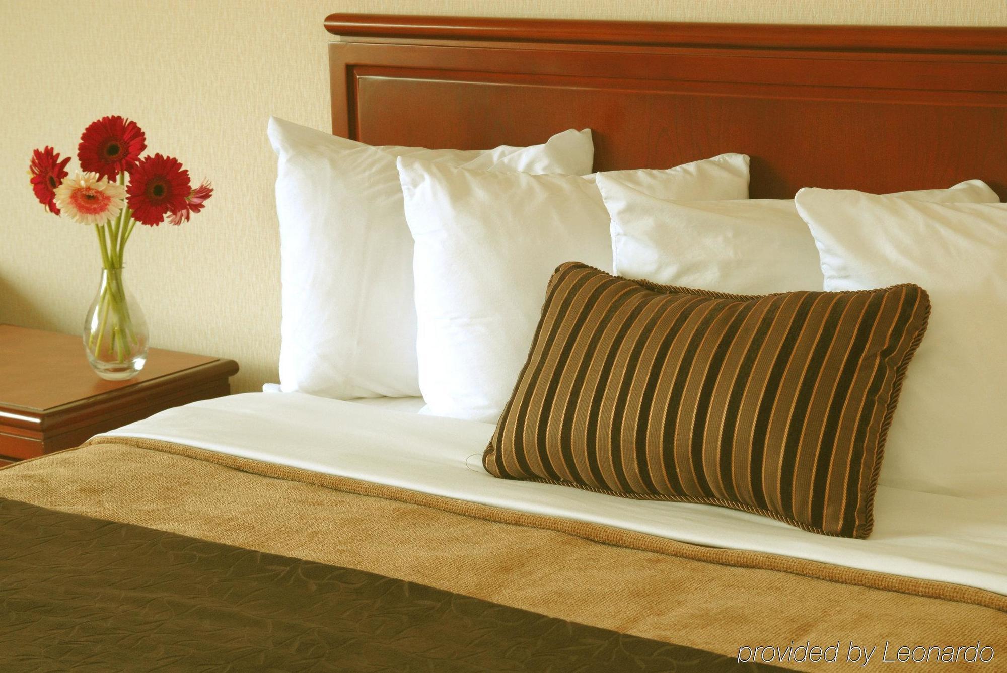 Doubletree By Hilton St. John'S Harbourview Hotell Rum bild